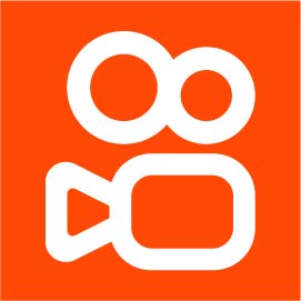kaisyu