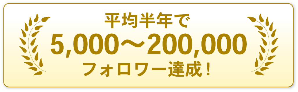 平均半年で5,000〜200,000フォロワー達成！